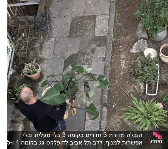 אדם נושא עציץ בגינה